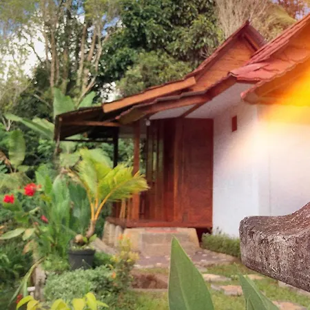 Sedana Yoga Resort Jembrana  Exterior photo
