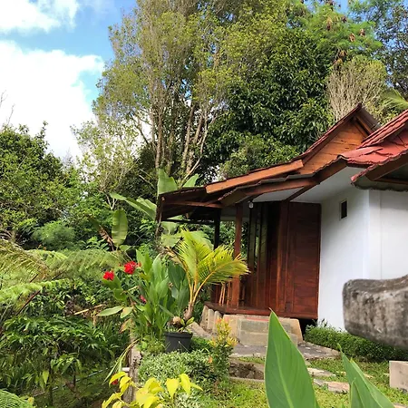 Sedana Yoga Resort Jembrana  Exterior photo