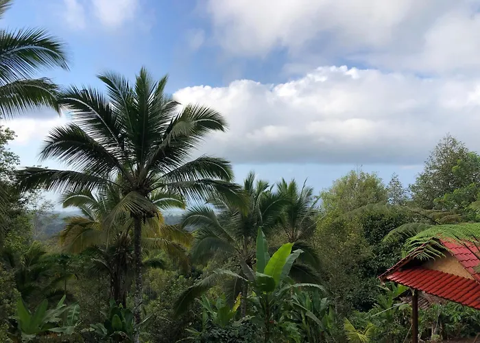 Sedana Yoga Resort