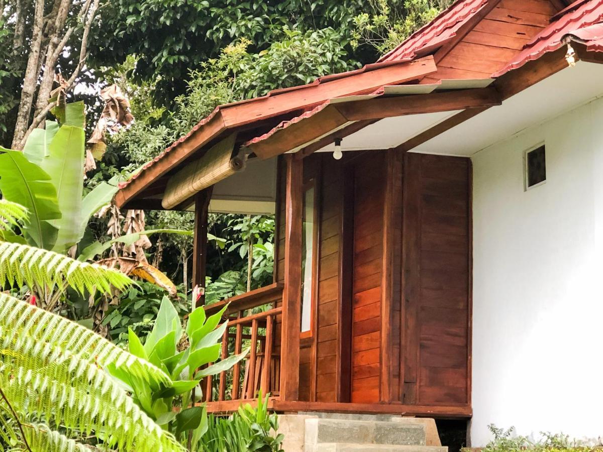 Farm stay Sedana Yoga