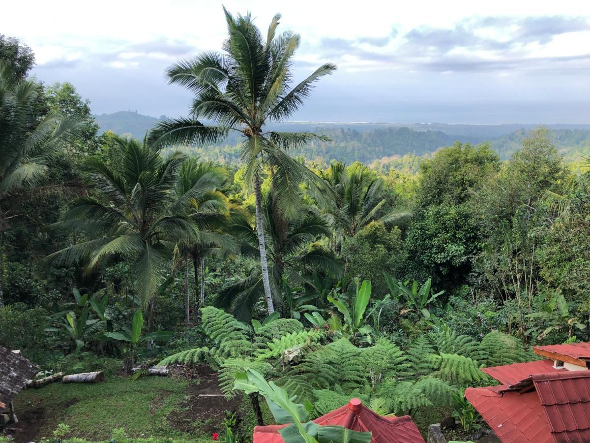 Farm stay Sedana Yoga Jembrana (Bali)