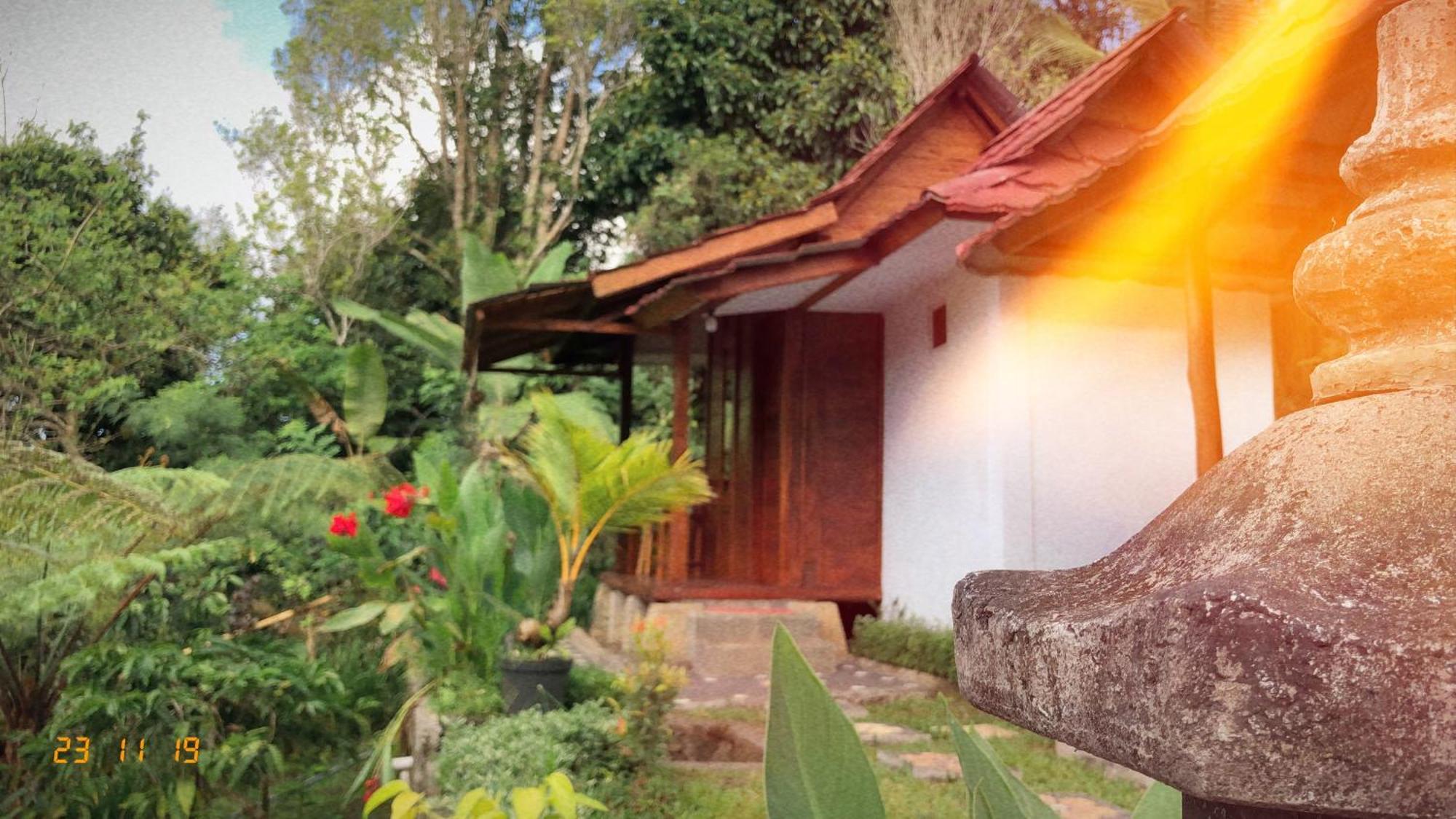 Sedana Yoga Farm stay